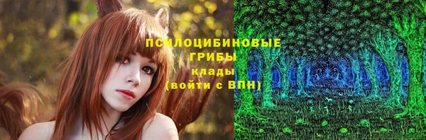герыч Бородино